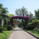 yoga_retreat_2013_11